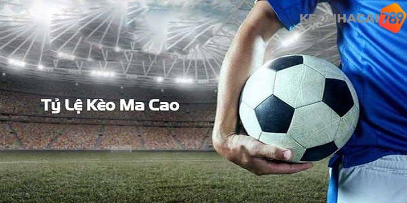 Tìm hiểu về tỷ lệ cược Macau là gì?