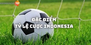 Tìm hiểu về đặc điểm của tỷ lệ cược Indonesia là gì