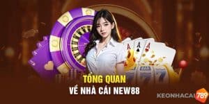 New88 hỗ trợ người chơi trải nghiệm đa nền tảng