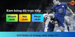 Review trang web Vebotv chi tiết về các thông tin chung